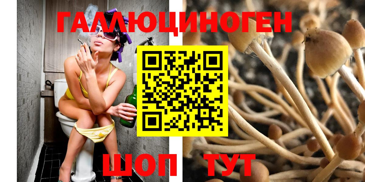 Галлюциногенные грибы ЛСД  Вход с VPN  где купить   Псилоцибиновые грибы Psilocybine cubensis  Гусиноозёрск 