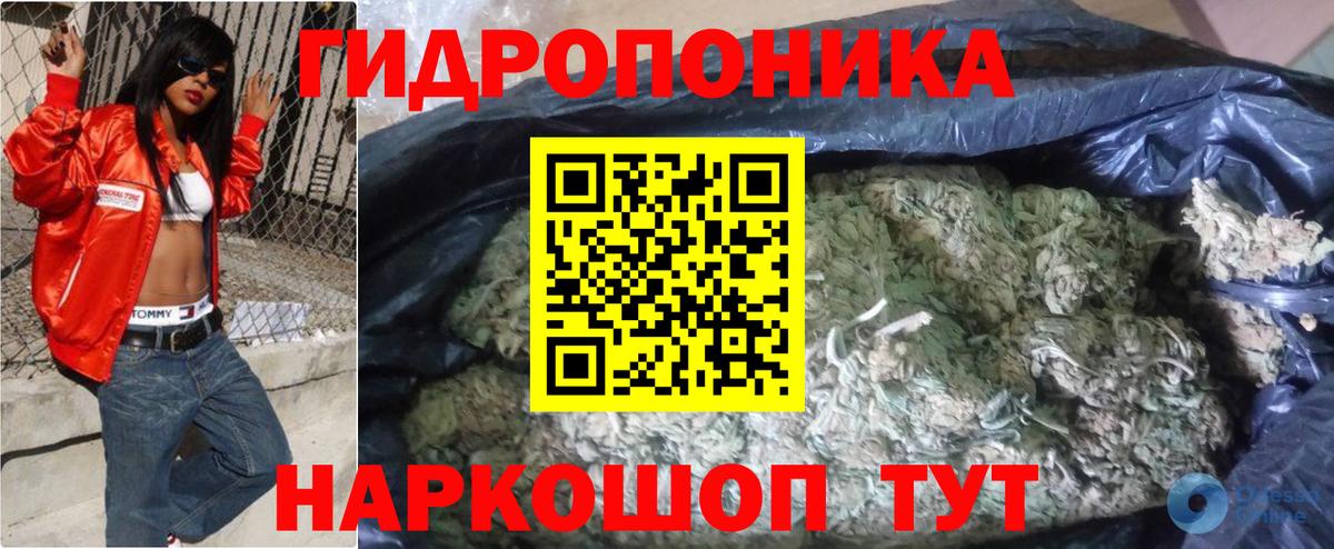 Бошки марихуана White Widow Гусиноозёрск